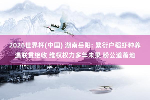 2026世界杯(中國) 湖南岳陽: 繁衍戶稻蝦種養(yǎng)遇聯(lián)貫絕收 維權(quán)權(quán)力多年未果 盼公道落地