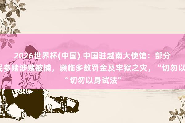 2026世界杯(中國) 中國駐越南大使館:部分在越公民參賭涉賭被捕,瀕臨多數罰金及牢獄之災,“切勿以身試法”