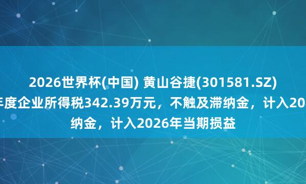 2026世界杯(中國) 黃山谷捷(301581.SZ):補繳2025年度企業(yè)所得稅342.39萬元,不觸及滯納金,計入2026年當期損益