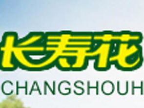 長(zhǎng)壽花特級(jí)初榨橄欖油750ml箱裝加盟批發(fā)指南